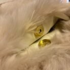 bolso wisi beige botón